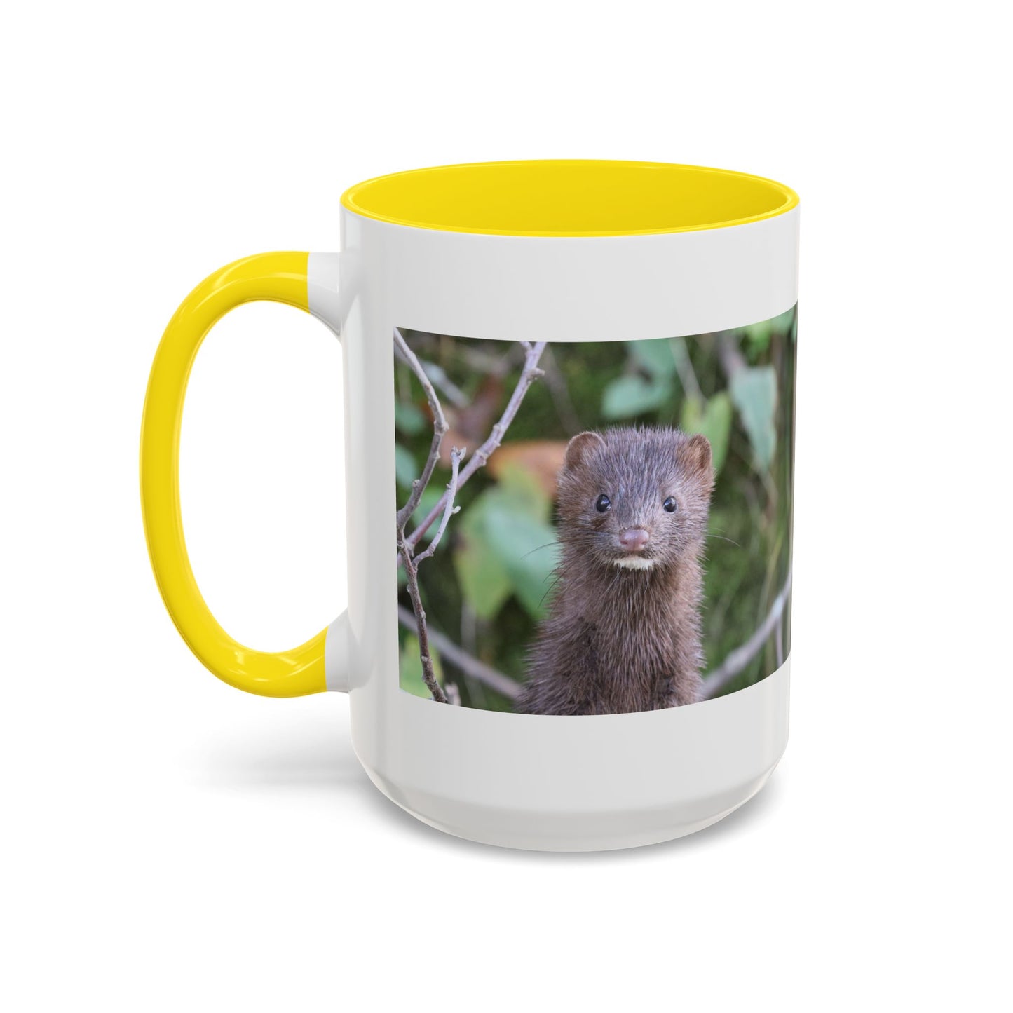Cute Mink Photo Accent Mug – Wildlife Photography Coffee Cup (11/15 oz)