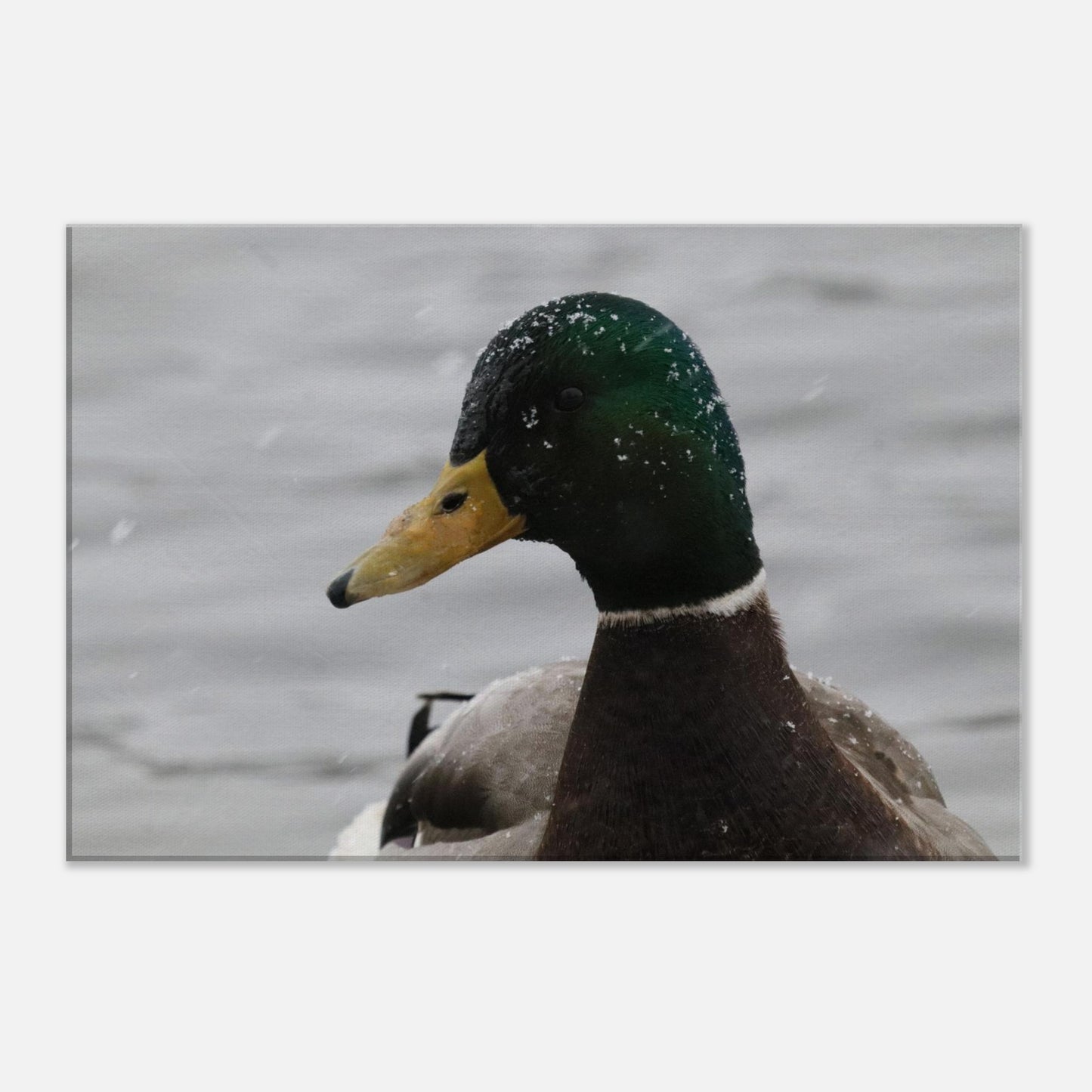 595dd268-edac-4e05-ad04-c4e09af07770