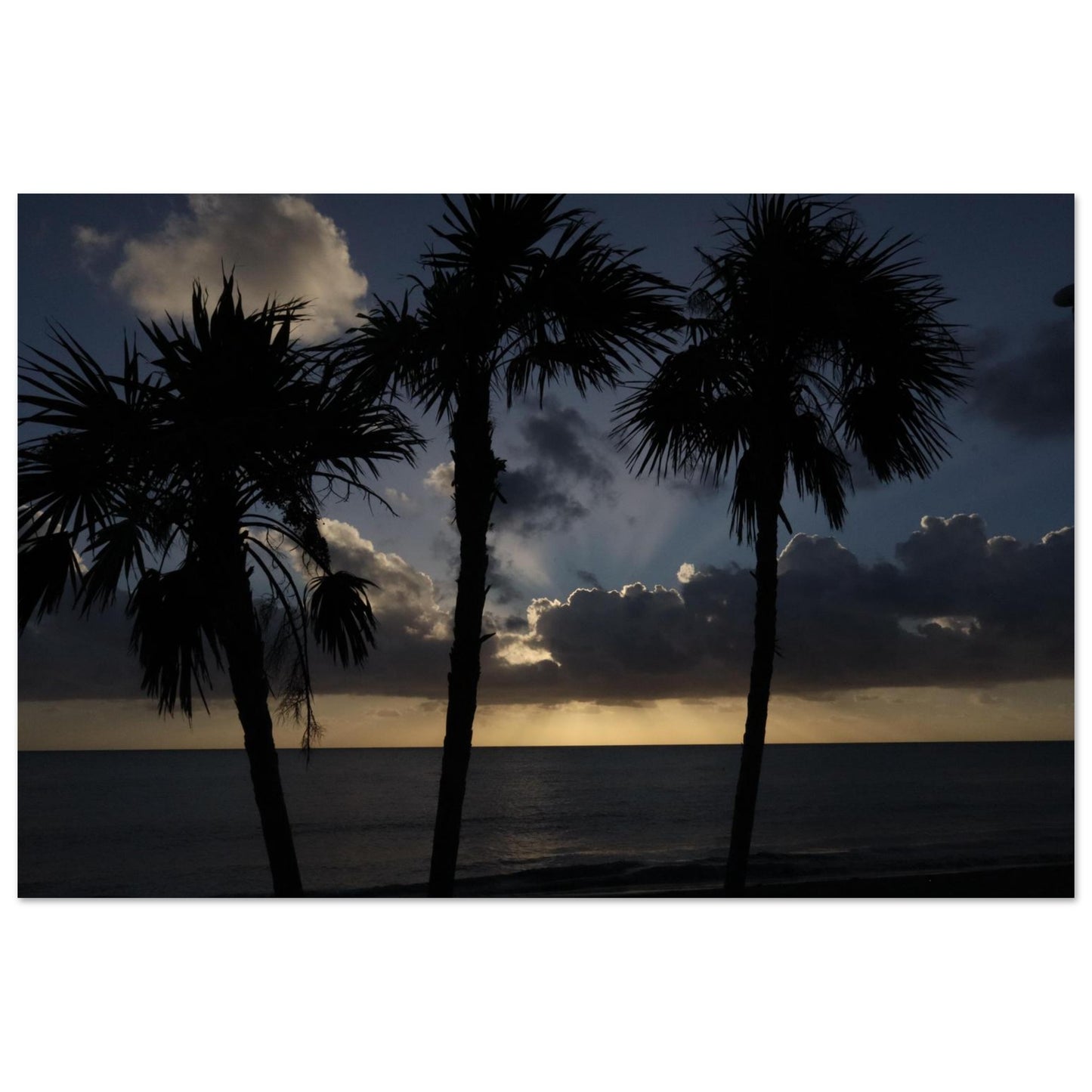 5961c86b-84e4-4df9-a581-7a95b309ebbc