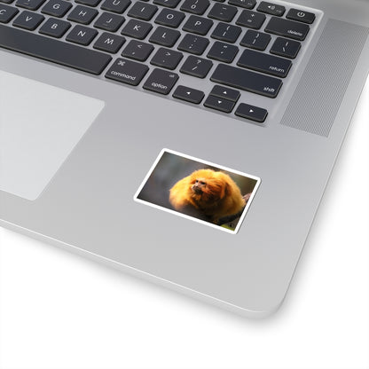 Golden Lion Tamarin Sticker — Cute Tropical Monkey Laptop Decal