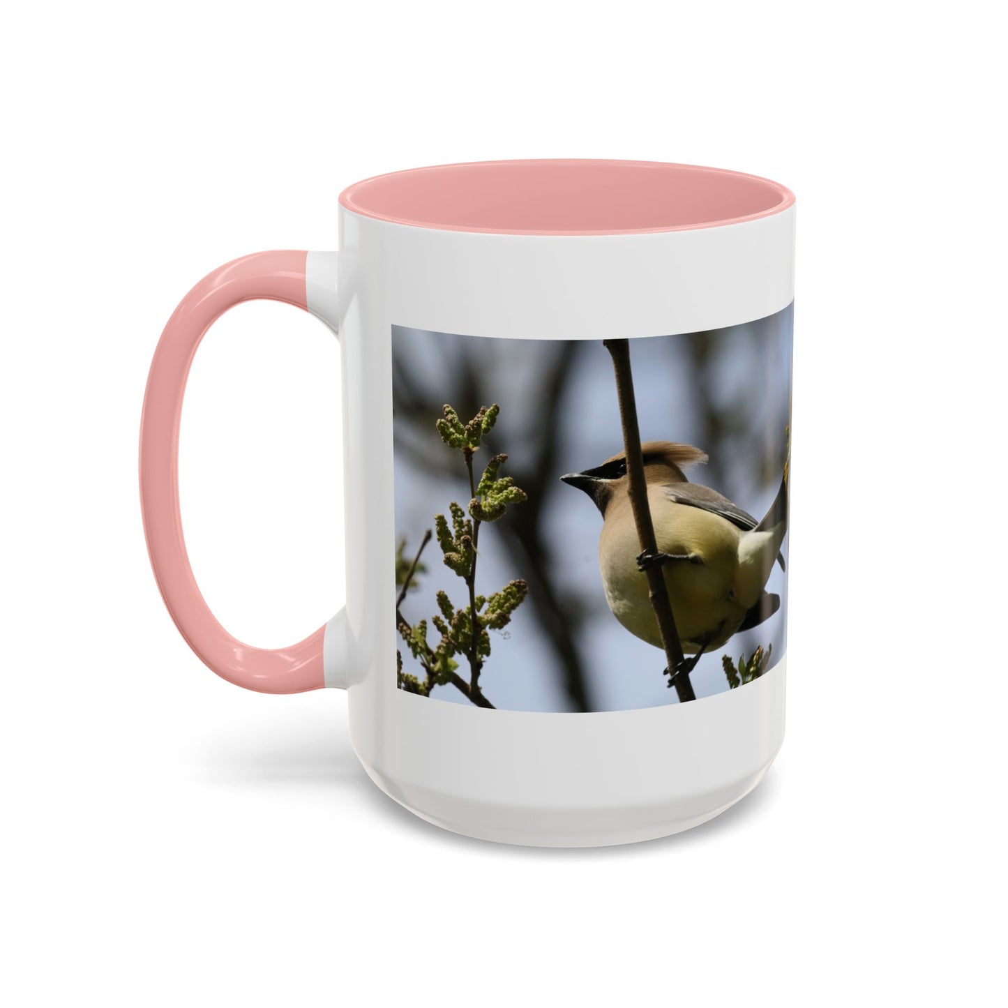 Cedar Waxwing Bird Photo Accent Coffee Mug