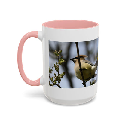 Cedar Waxwing Bird Photo Accent Coffee Mug