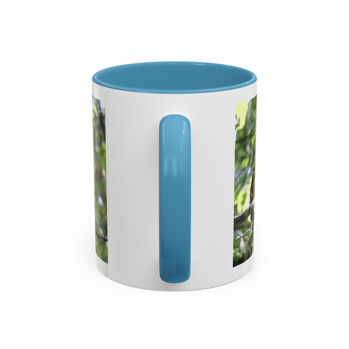 Hawk Perch Accent Coffee Mug (11/15 oz) – Nature Bird Photography