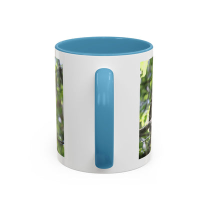 Hawk Perch Accent Coffee Mug (11/15 oz) – Nature Bird Photography