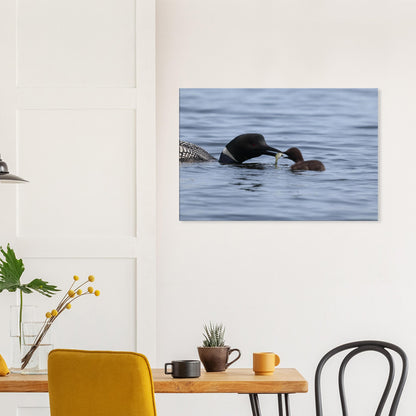 59ee7ef8-e2c9-4ab4-8eab-d23752d8c624