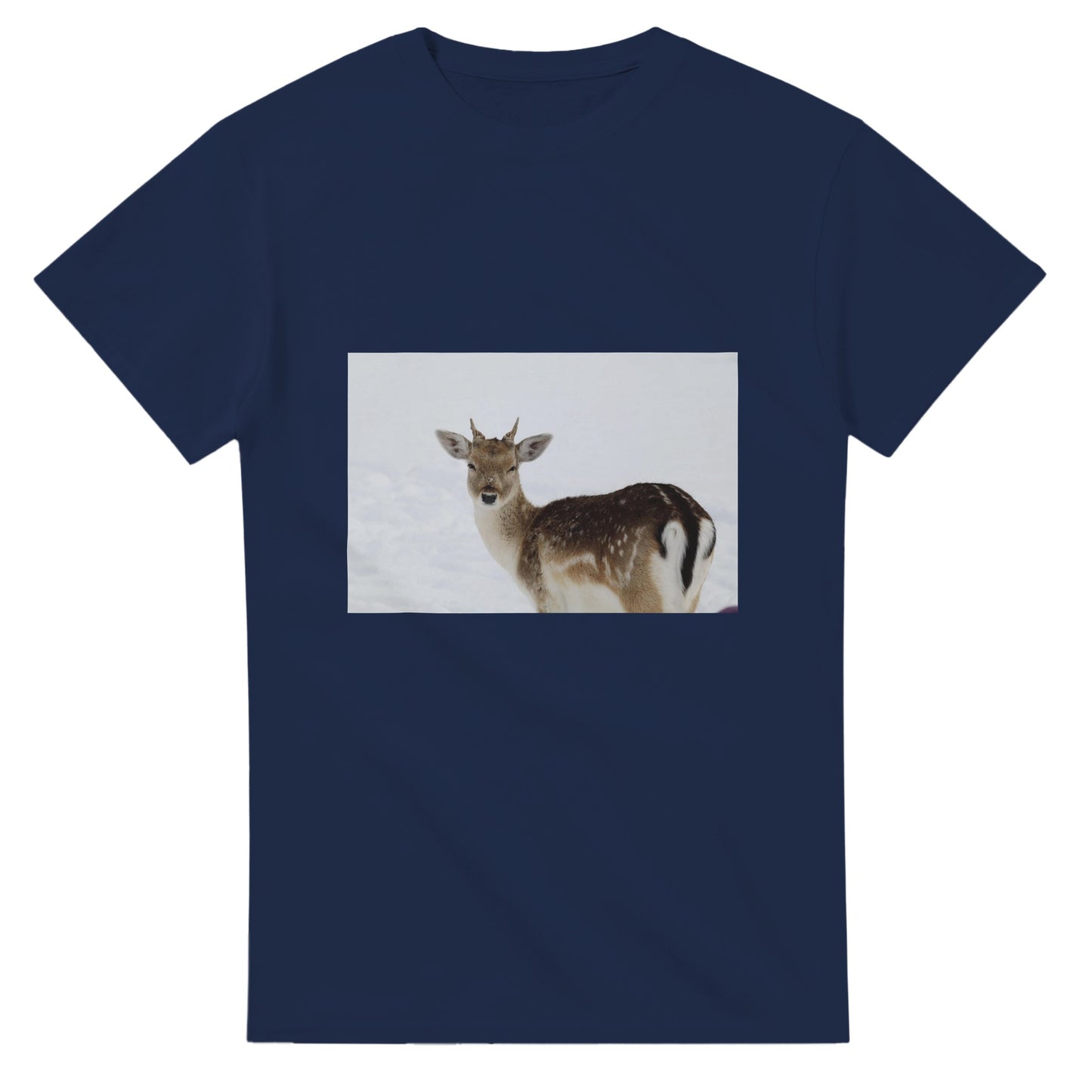 5a098b00-ac29-4501-a52a-f99f32098040