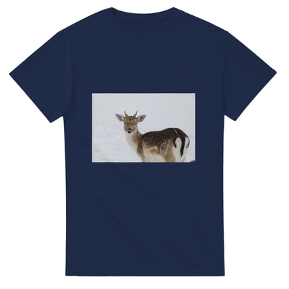 5a098b00-ac29-4501-a52a-f99f32098040