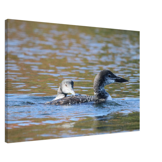 5a78845e-86ab-416d-a25f-a3408d4ac1c7