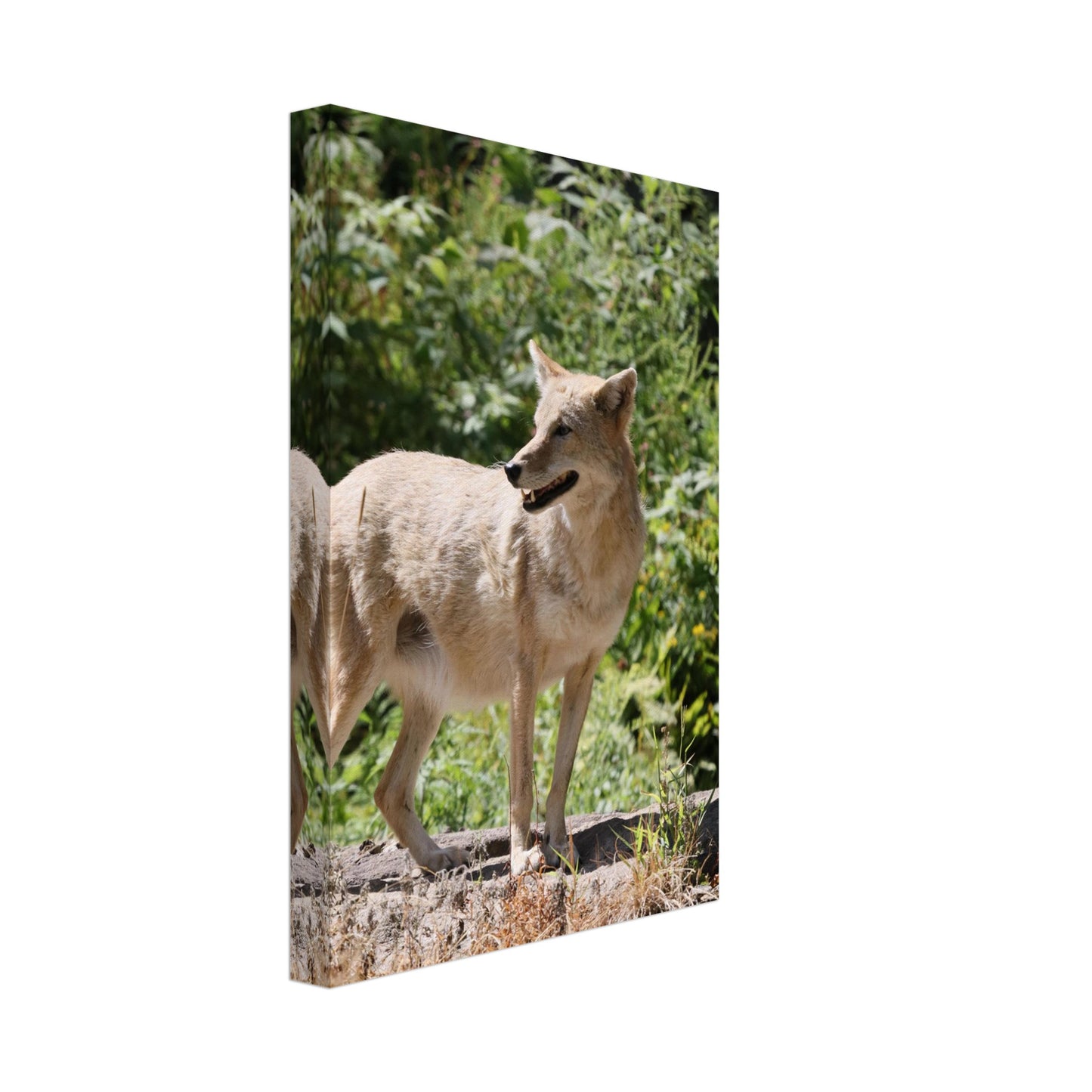 5a98d1f4-cd40-4d52-9136-81229752d878