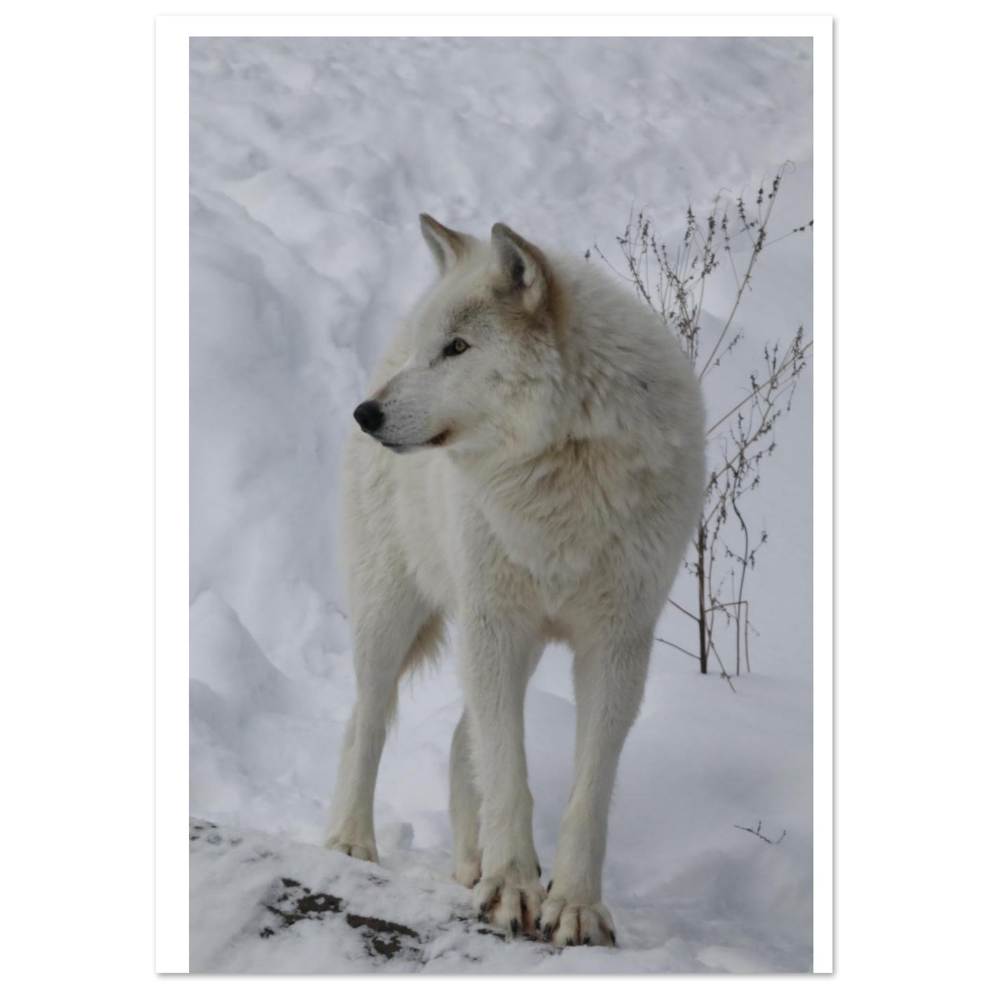 5af57102-ca0f-4e8c-b44c-f76ce195bccb