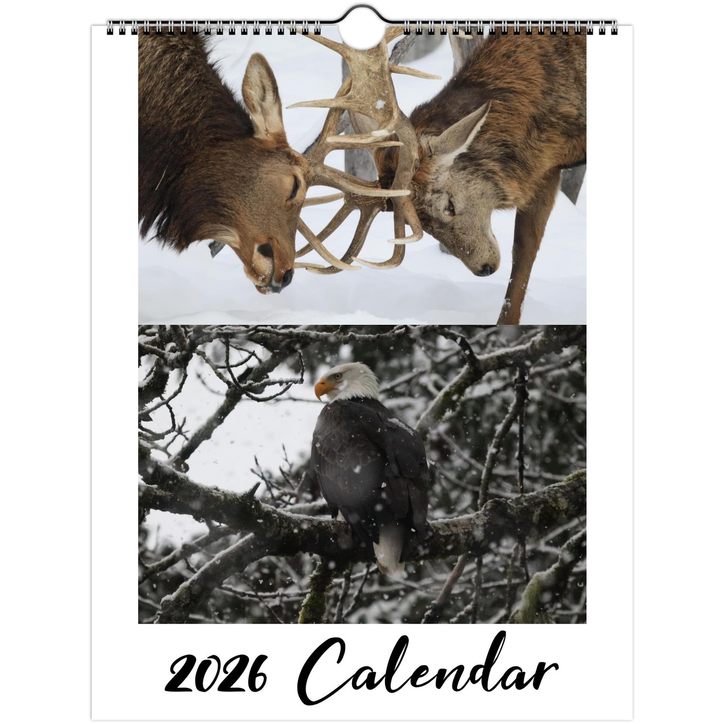 5b88b811-4f37-4b0e-9e0c-6220227fbb0e