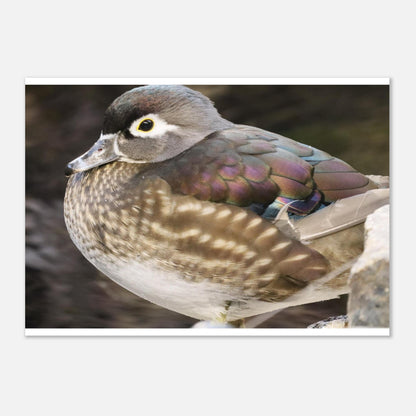 5b9168b0-40b2-4a05-abf3-149ed4effe42