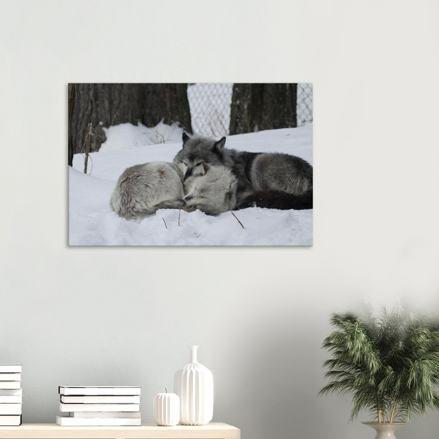 5bb845c5-ccb4-4e65-a1c0-d88c492fdbd2