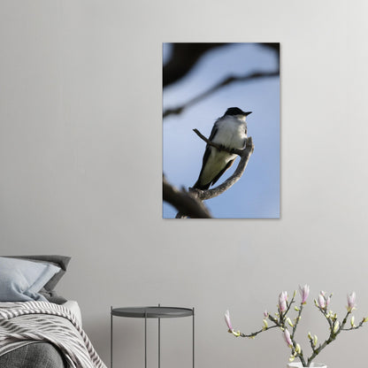 5bcb48c9-0f94-48ff-b30e-8a2561a45844