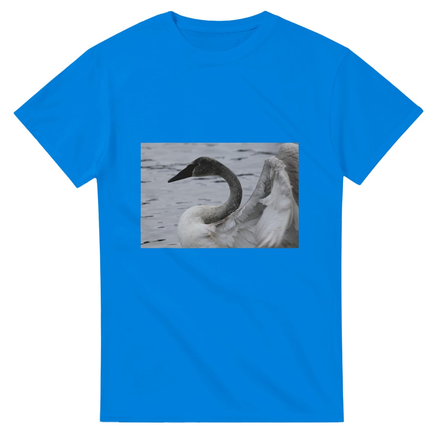 5c79f354-5376-445e-8abe-dabf707672ee