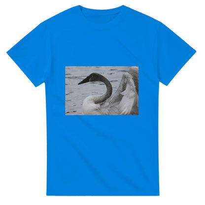 5c79f354-5376-445e-8abe-dabf707672ee