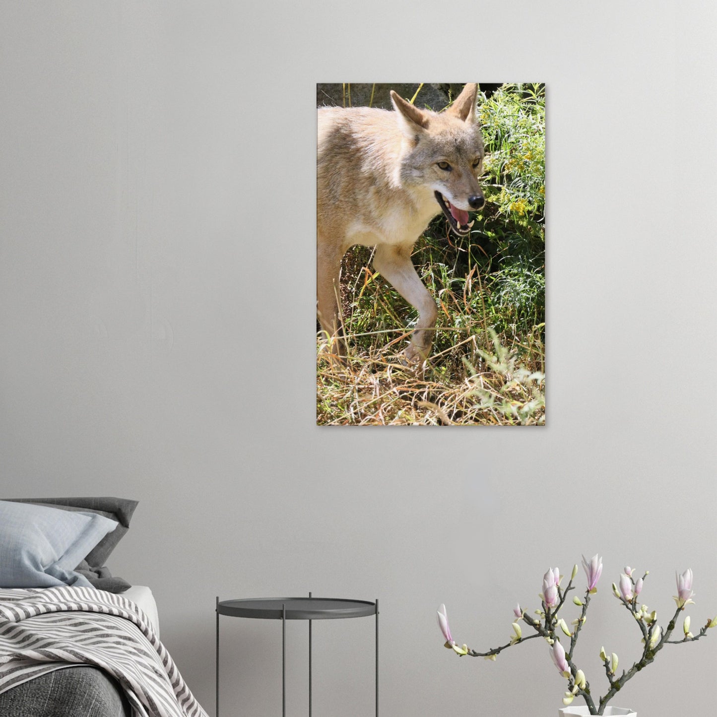 5cc1e918-d5a6-4d5d-bc69-face19af3307