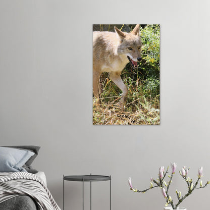 5cc1e918-d5a6-4d5d-bc69-face19af3307