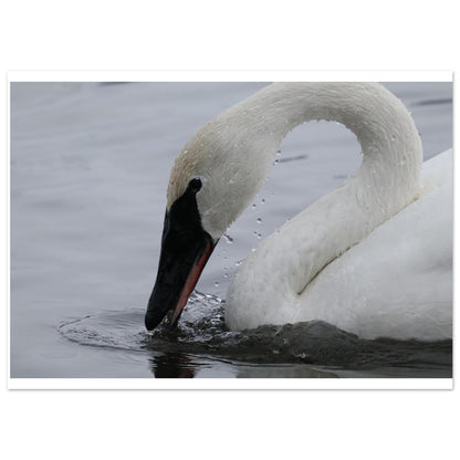 5d3823ce-b459-4a75-873b-2bc60fae48ea