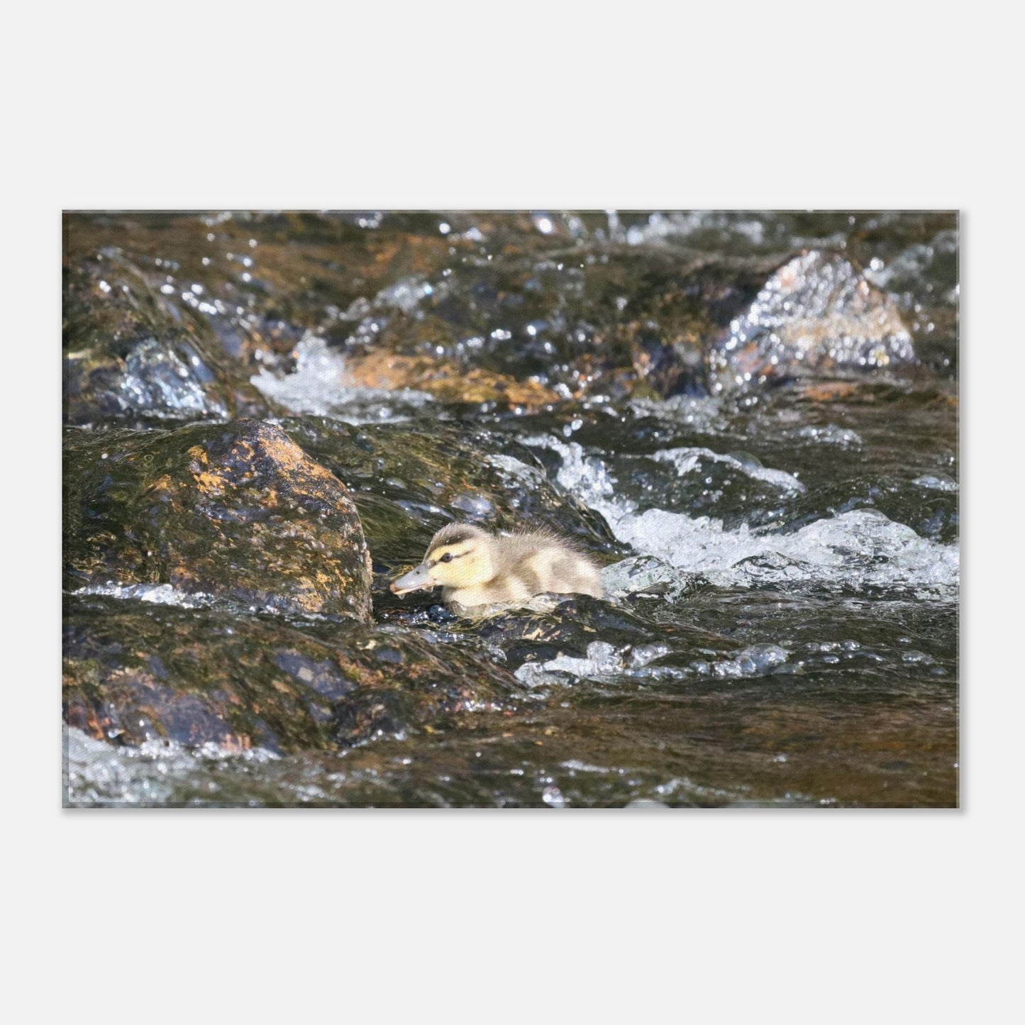 5d44c887-6ad8-4040-8d97-74ded1dbca70