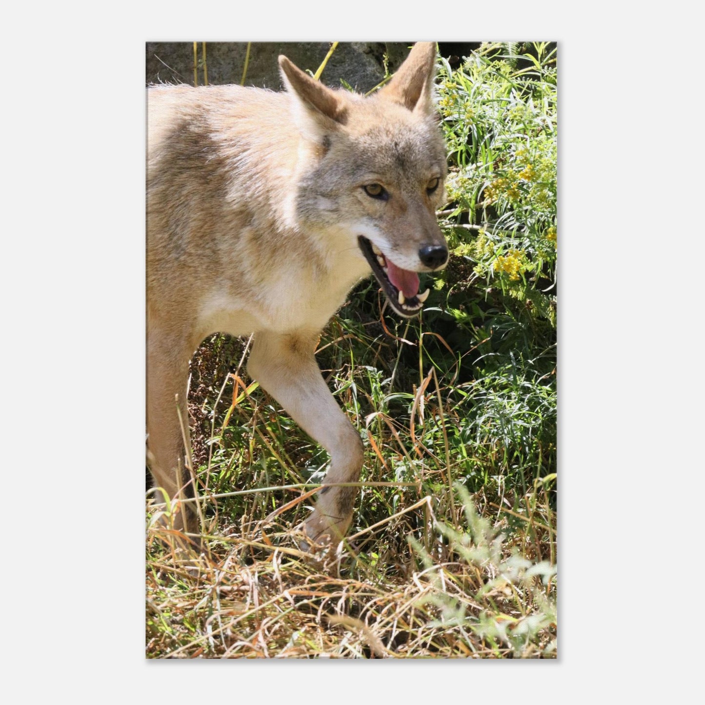 5d5c9838-2550-4db9-ab32-3a1de18499e3