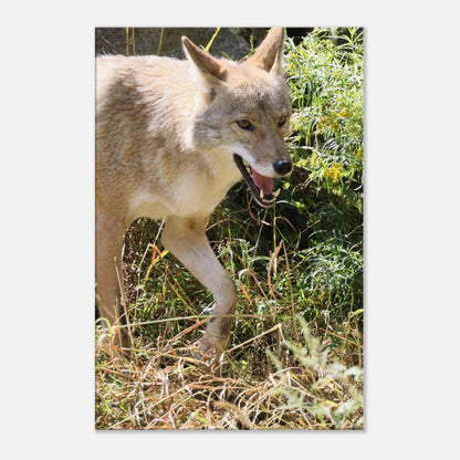 5d5c9838-2550-4db9-ab32-3a1de18499e3