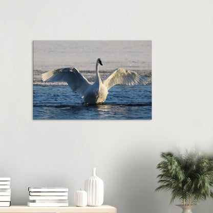 5d877792-8ea9-4562-8b81-6a233def1387