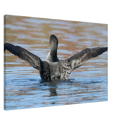 5d925411-475a-414b-b7ca-c95307d6c434