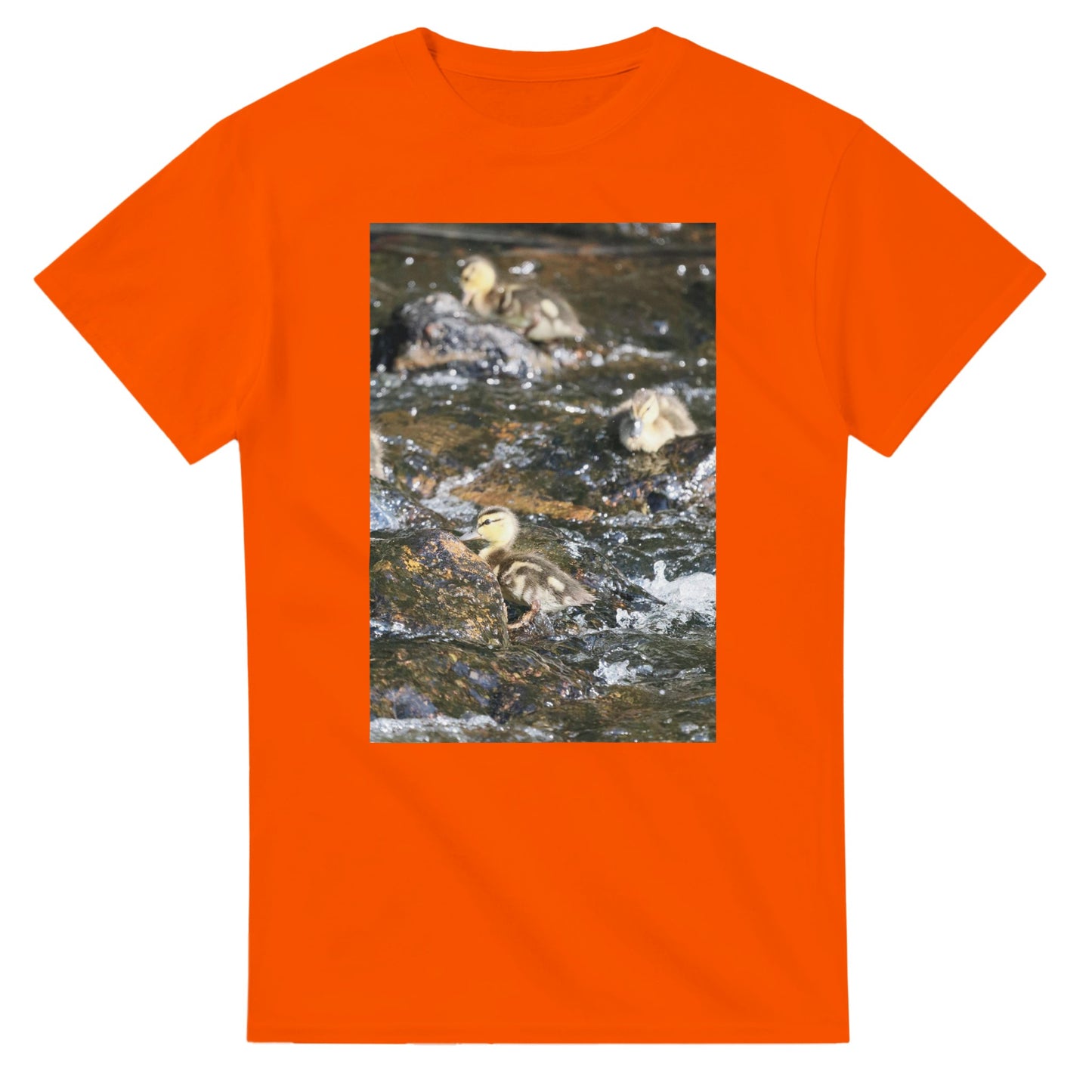 5e3ea3d6-9154-45dc-9d57-f35bda658b68