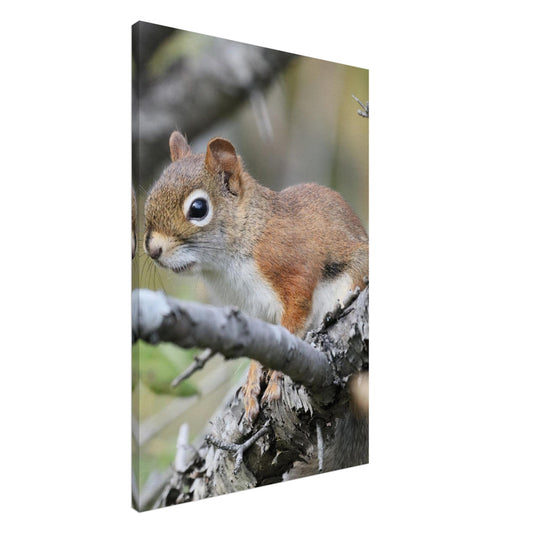 5e99ae66-7a61-46da-9a7f-126defe453b1