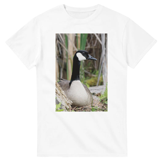 5edeebf5-93d2-4dd1-afdc-046aa52e486b