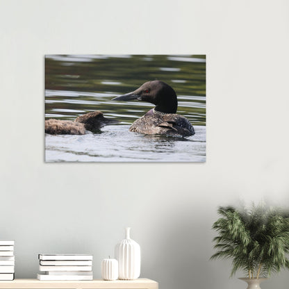 5f747add-e22e-49fb-80a4-886eccabcf93