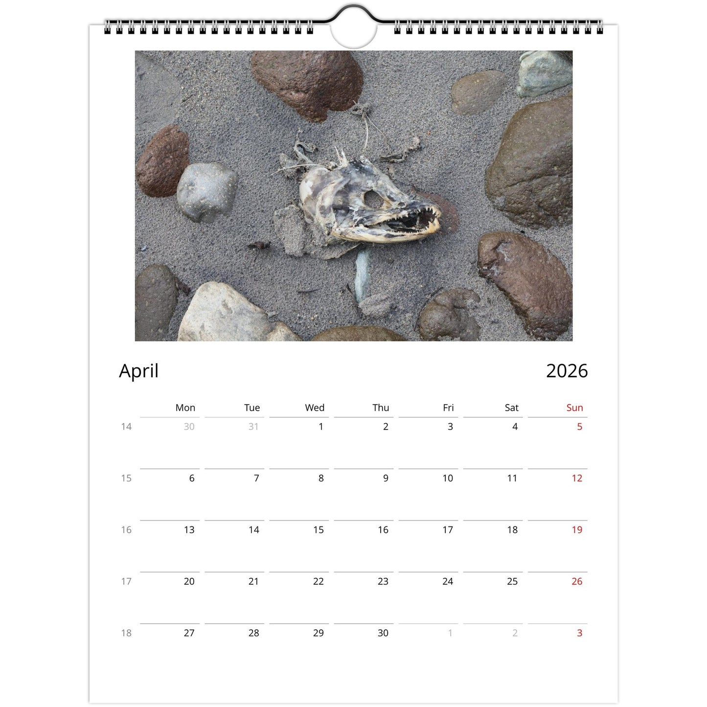 5fd5d922-8952-4dd9-a125-f8505c0df31b