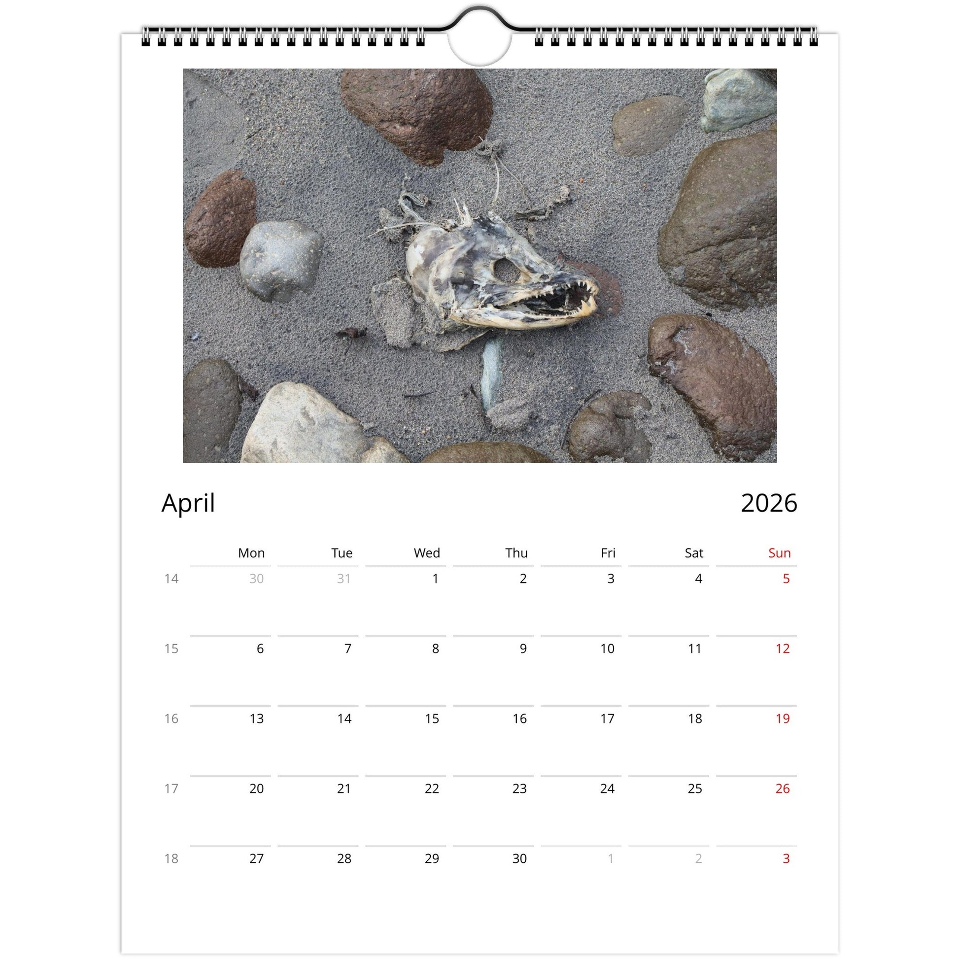 5fd5d922-8952-4dd9-a125-f8505c0df31b