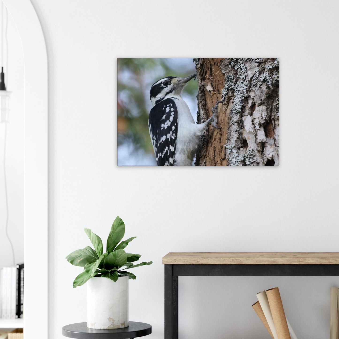 5fe02b64-beb2-469c-89a7-6be8612cccff