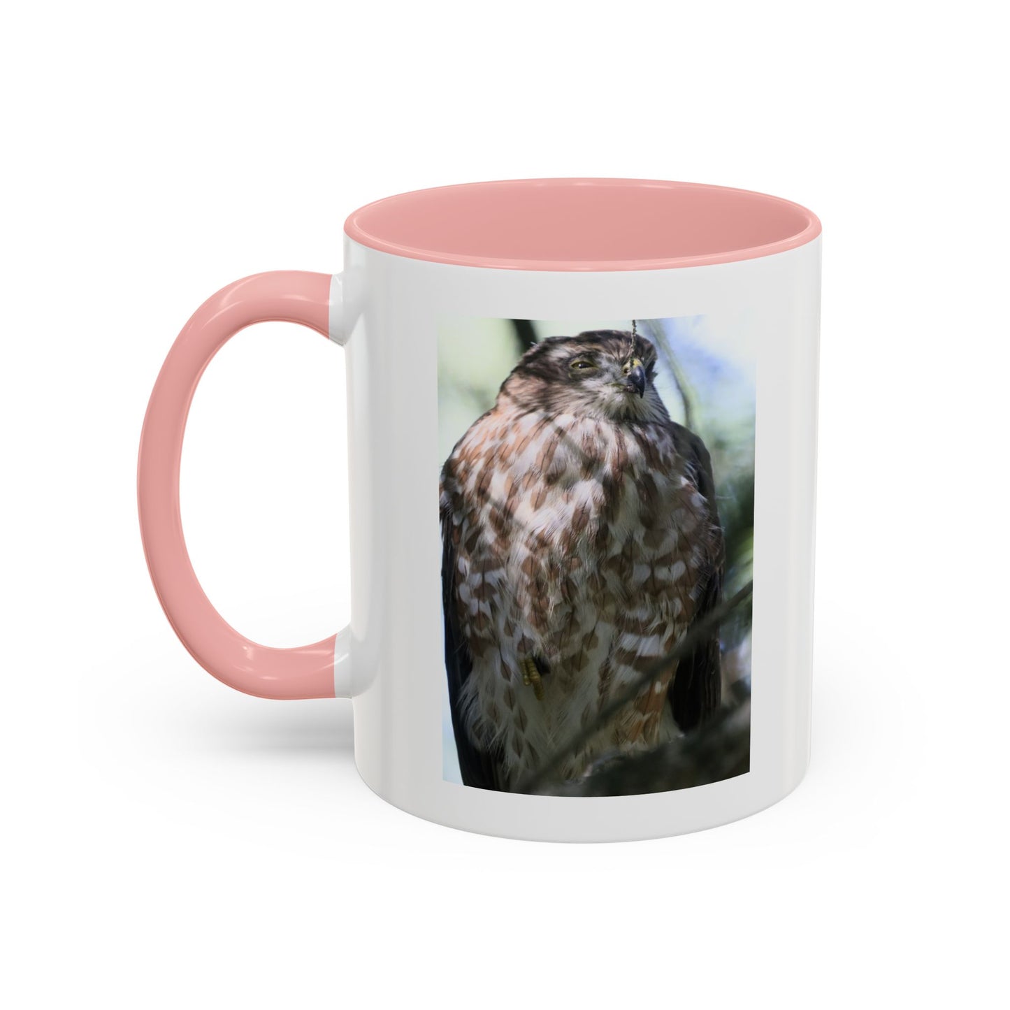 Hawk Photo Accent Coffee Mug — Birdwatcher Gift, 11/15oz