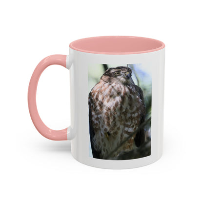 Hawk Photo Accent Coffee Mug — Birdwatcher Gift, 11/15oz