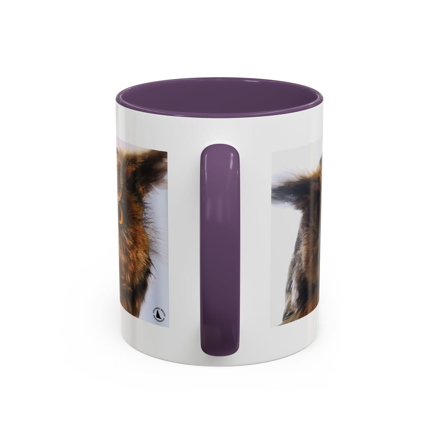 Owl Accent Coffee Mug – Realistic Great Horned Owl Photo (11/15 oz)