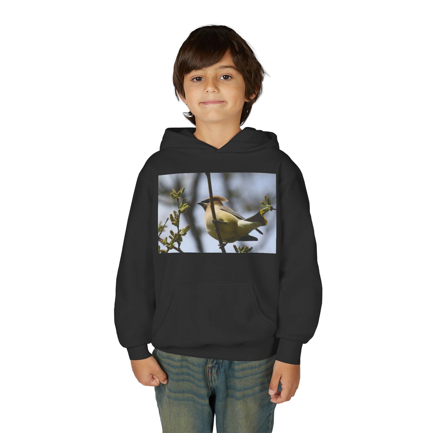 Cedar Waxwing Bird Hoodie | Youth Hooded Sweatshirt
