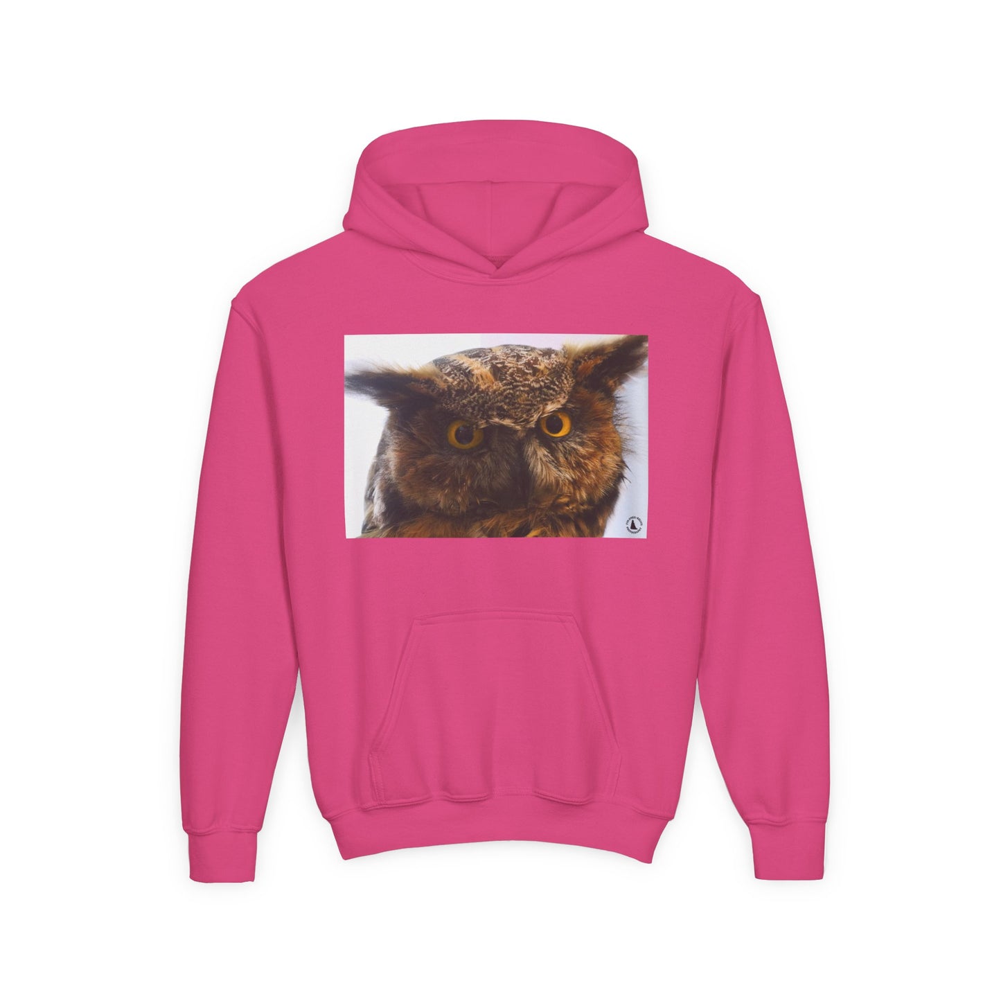 Youth Hoodie with Realistic Owl Art — Cute Kids Animal Pullover