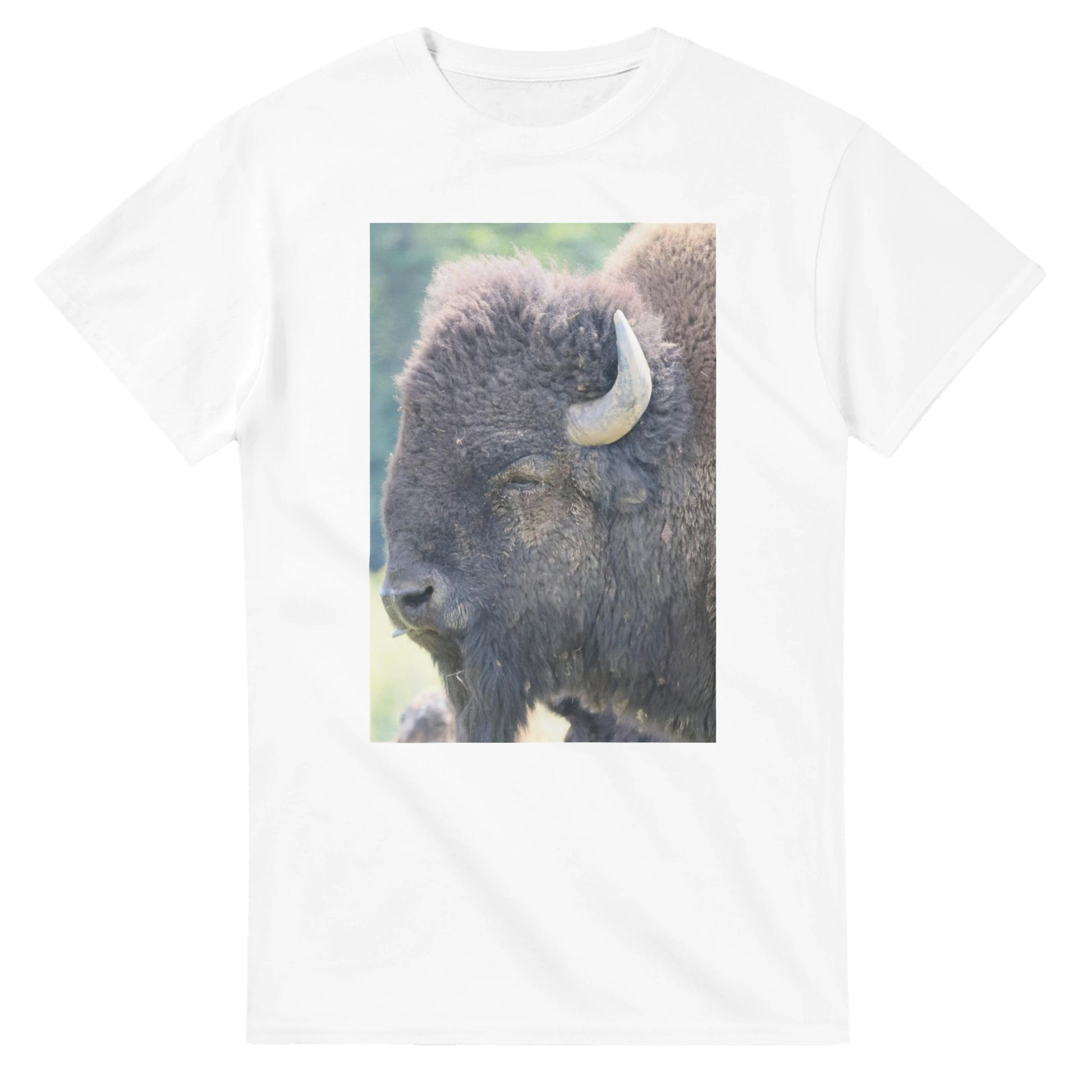 607e0baa-549a-4cd0-ab95-c861c2b955b5