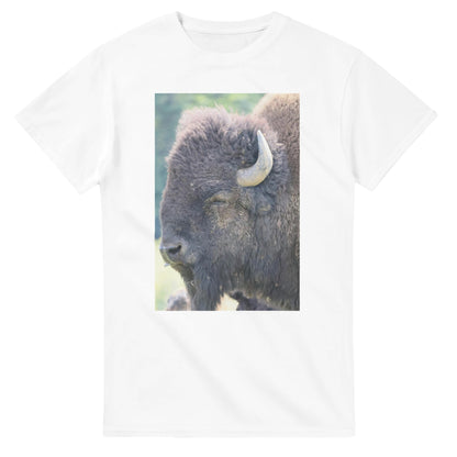 607e0baa-549a-4cd0-ab95-c861c2b955b5