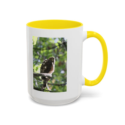 Hawk Perch Accent Coffee Mug (11/15 oz) – Nature Bird Photography