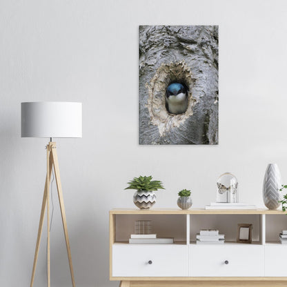 60a1fd1b-8103-49b4-a05a-f0b0bf76a996