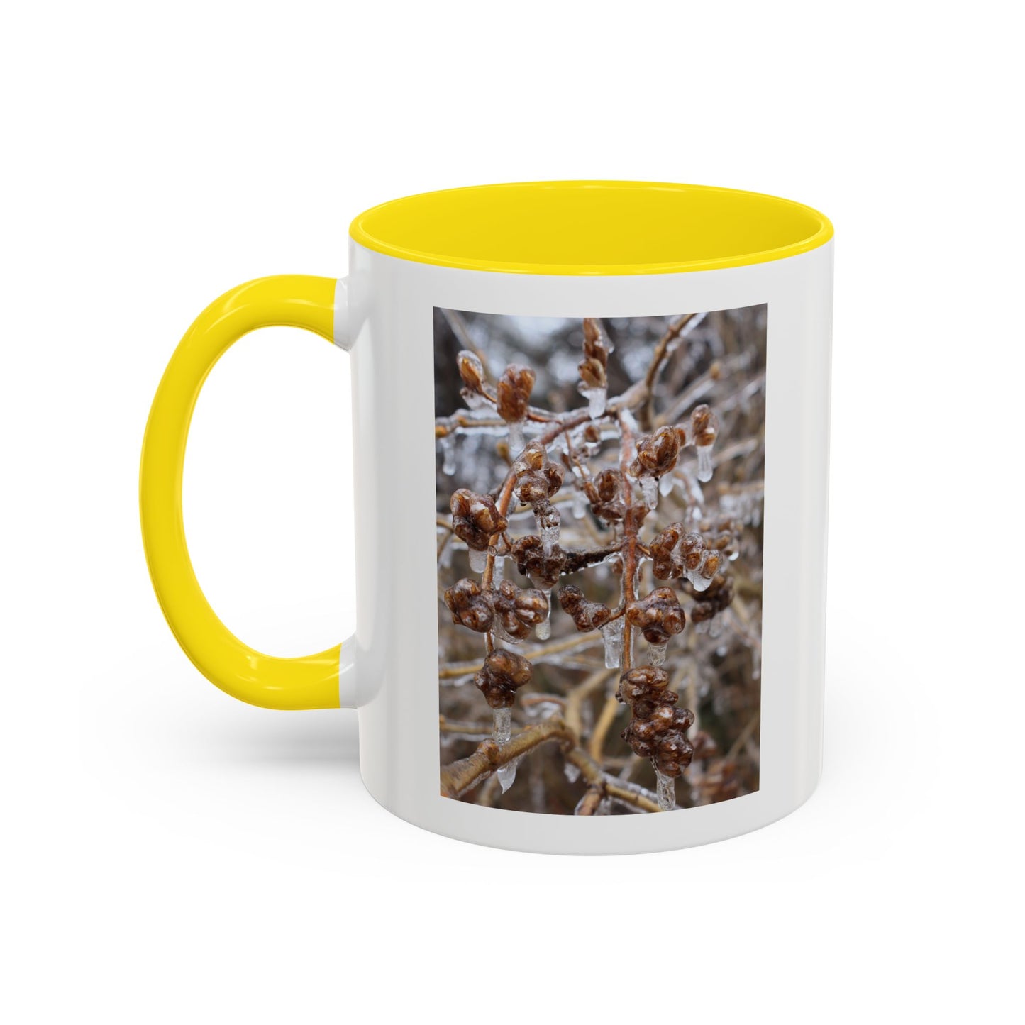Ice-Coated Berries Accent Coffee Mug (11/15 oz) — Winter Nature Photo
