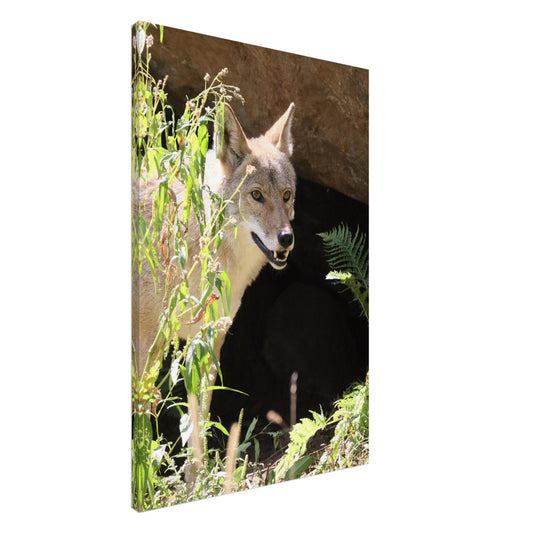 61513905-2912-4b2d-9e80-66c9704372d3