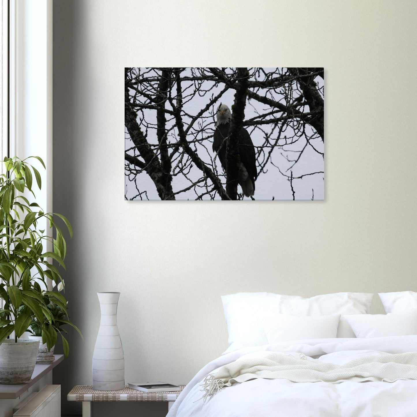 616259c9-d806-485e-a2d9-351d035e7225