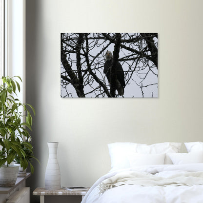 616259c9-d806-485e-a2d9-351d035e7225