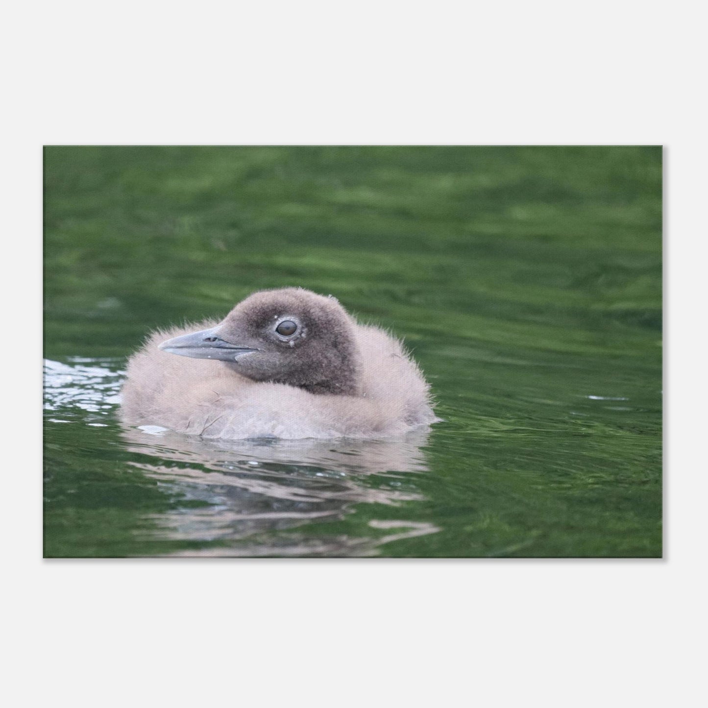 61a63691-365d-4407-a599-fe8d51e222d1