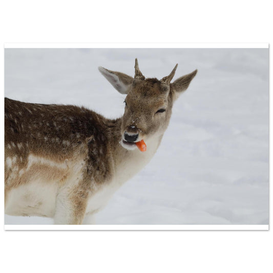 61d8c88e-6b70-4558-ab5a-fbbdbd1bbf17